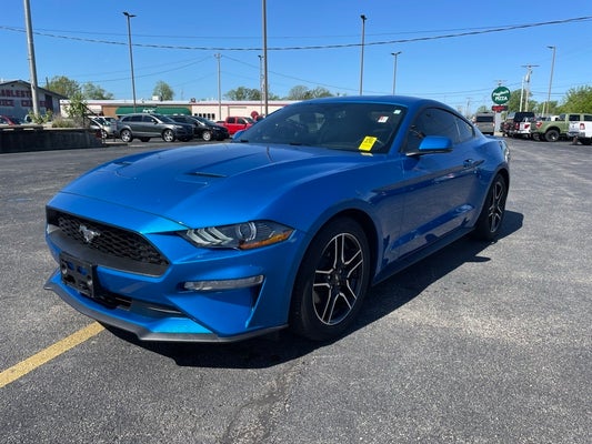 2019 Ford Mustang EcoBoost Premium in Charleston, IL, IL - Pilson Ram Super Center